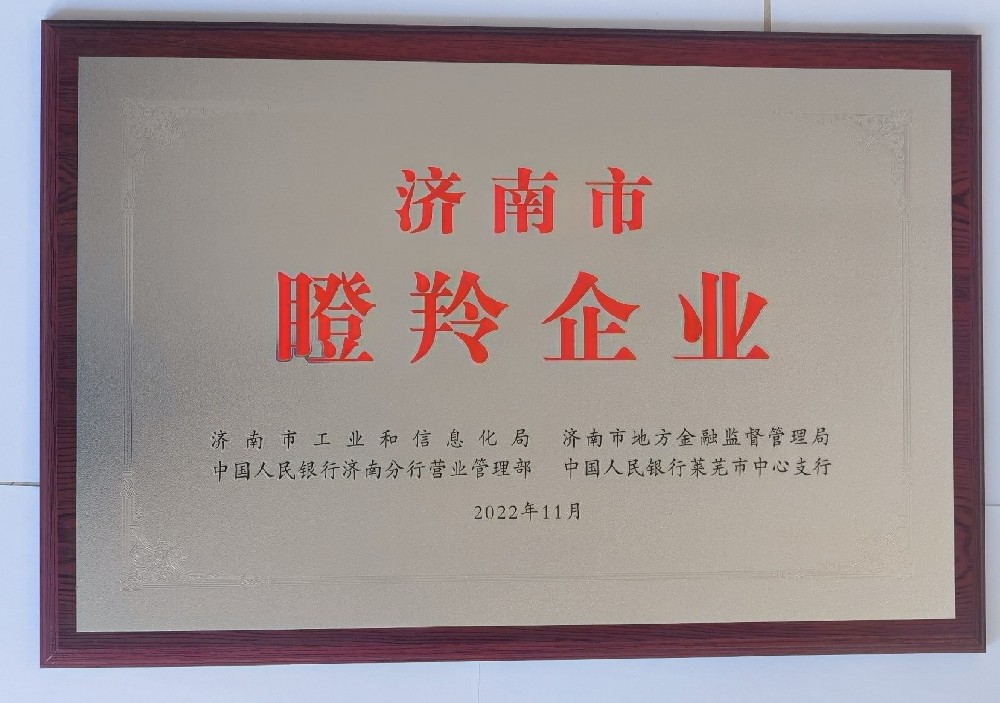 2022瞪羚 企業(yè)